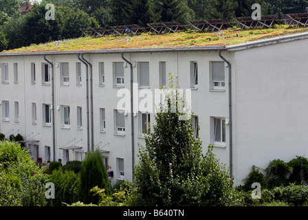 Sedum oder "lebende Dach" und Solarzellen auf Wohnungen in Gelsenkirchen, Nordrhein-Westfalen, Deutschland. Stockfoto