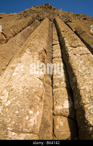 Orgelpfeifen: Lange Rohre aus sechseckigen Basalt steigen um einen senkrechten Felswand in der Formation als die Orgelpfeifen bekannt zu machen Stockfoto