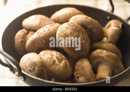 Shiitake Pilze zeigen die Muster mit der Bezeichnung Danko in das Kappen Stockfoto