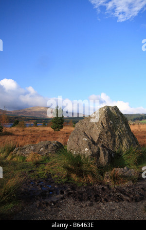 Bruces Stein am Clatteringshaw Loch, Galloway Forest Park, Schottland Stockfoto