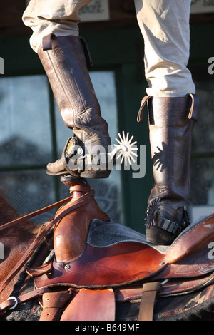 Stand am Anfang von seinem Sattel auf seinem Pferd cowboy Stockfoto