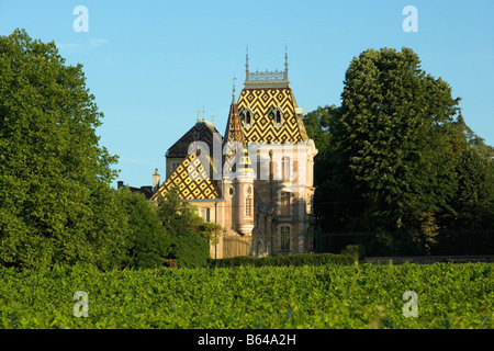 Frankreich, in der Nähe von Beaune, Burgund, Dorf: Afoxe-Corton. Burg: Andre Corton. Weingut. Stockfoto