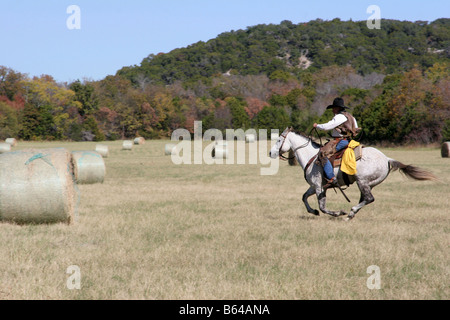 Ein Cowboy sein Pferd alle aus in der Heu-Feld von Texas ausgeführt Stockfoto