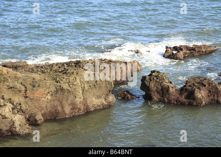 Felsen am Ufer von San Lorenzo Strand in Gijon Spanien Stockfoto