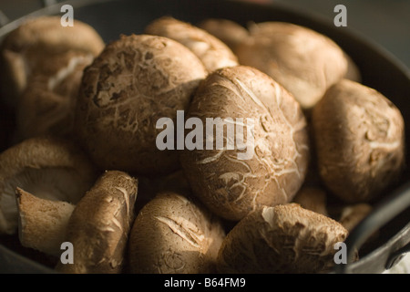 Shiitake Pilze zeigen die Muster mit der Bezeichnung Danko in das Kappen Stockfoto