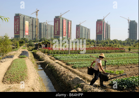 Ein Bauer aus Gemüse Bereich vor neu erbaute Apartment-Türme, Dongguang, Guangdong, China. 30. Dezember 2008 Stockfoto