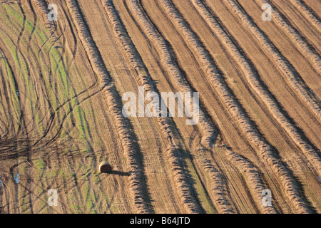 Luftaufnahme von diagonalen Linien des goldenen geernteten Weizenstroh, Ballen und Traktor verfolgt. Stockfoto