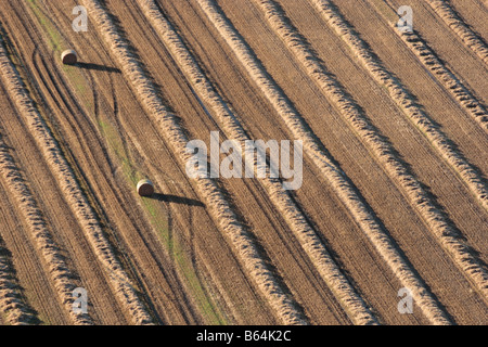 Luftaufnahme von diagonalen Linien des goldenen geernteten Weizenstroh, Ballen und Traktor verfolgt. Stockfoto