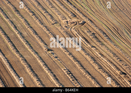 Luftaufnahme von diagonalen Linien des goldenen geernteten Weizenstroh und Traktor verfolgt. Stockfoto