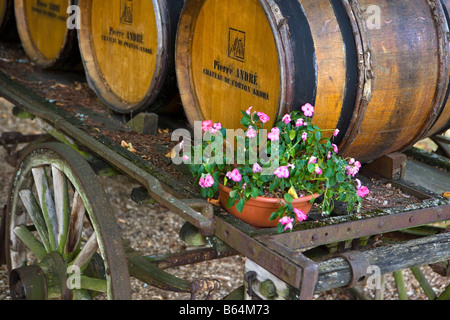 Frankreich, in der Nähe von Beaune, Burgund, Schloss Clos de Vougeot, Weinberg, alten Weinfässern. Stockfoto