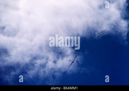 Segelflugzeuge im Flug, blauer Himmel, Miami Stockfoto