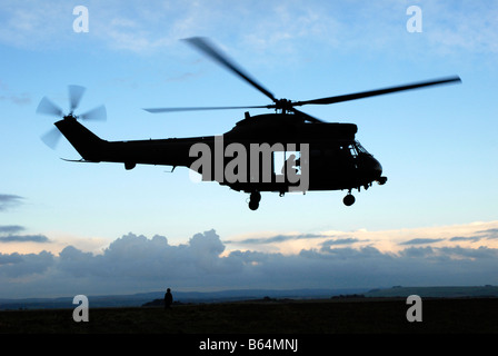 Royal Air Force (RAF) Puma Helikopter Stockfoto