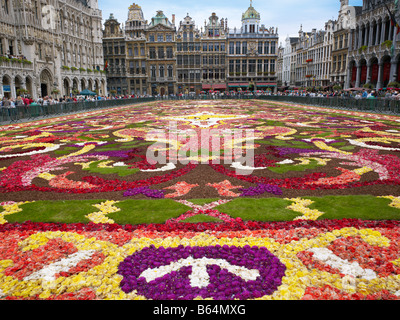 Blumenteppich am Grand Place Brüssel, Brabant, Belgien, Europa Stockfoto