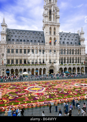 Blumenteppich und Rathaus am Grand Place Brüssel, Brabant, Belgien, Europa Stockfoto