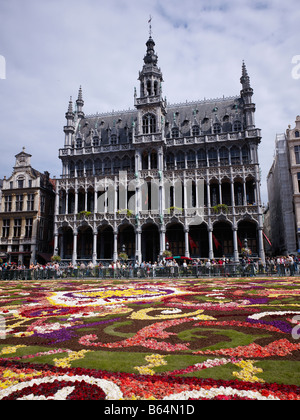 Blumenteppich am Grand Place mit Gotic House des Königs oder des Broodhuis Maison du Roi-Brüssel-Brabant-Belgien Stockfoto