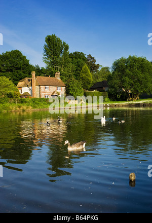 Ferienhaus am Shottermill Teiche in der Nähe von Haslemere, Surrey, England, Vereinigtes Königreich mit Enten und Gänse Stockfoto