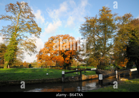 Das herbstliche Farbenspiel abheben auf den Bäumen am Worsfold Gates auf dem Fluss Wey Navigation in Surrey England Stockfoto