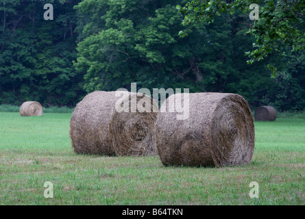 Ein Bauern-Feld im Spätherbst Stockfoto