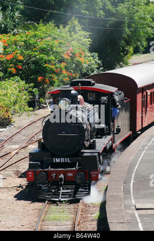 Mary-Tal Rattler Stockfoto