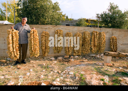 getrockneten Tabakblätter gehängt Outdoor-Haus in Deir el Ahmar Dorf Osten Bekaa Tal Baalbek Bereich Libanon Stockfoto