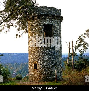 Das Tower-Box Hill Surrey U.K. Europa Stockfoto