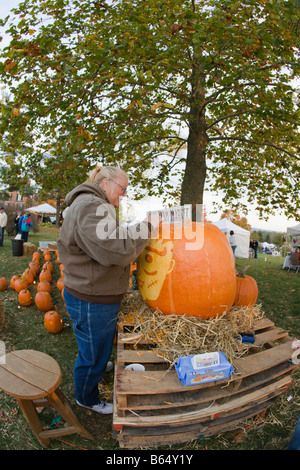 Eine Frau aus Nalls Bauernhofmarkt schnitzt einen Kürbis 2008 Shenandoah Valley Hot Air Balloon und Weinfest in Millwood, VA. Stockfoto