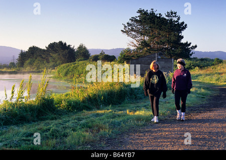 Arcata Marsh Arcata Humboldt County Kalifornien Stockfoto