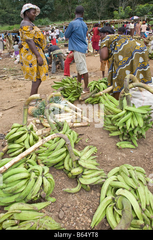 Ländlichen Markt Douala Kamerun Afrika Stockfoto