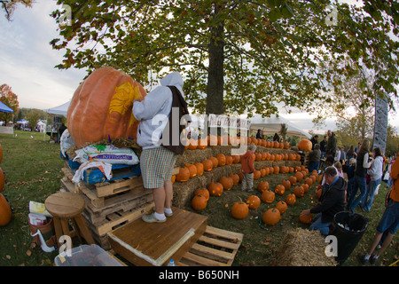 Eine Frau aus Nalls Bauernhofmarkt schnitzt einen Kürbis 2008 Shenandoah Valley Heißluftballon und Weinfest in Virginia. Stockfoto