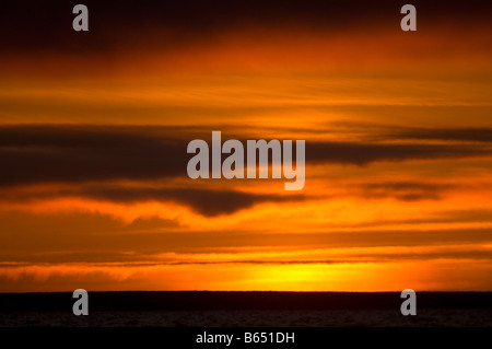 Sommersonnenuntergang spiegelte sich glühend in Wolken über einem meeisfreien Beaufort Sea 1002 Gebiet des Arctic National Wildlife Refuge, North Slope, Alaska Stockfoto