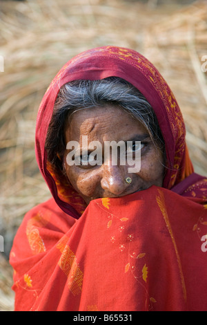 Lucknow, Uttar Pradesh, Indien, Landschaft in der Nähe von Rae Bareli, Frau tragen Saree, Porträt Stockfoto