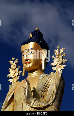 Der Buddha Maitreya ist der Buddha der Zukunft It s Körper ist gefüllt mit Rollen von religiösen buddhistischen Text zu beten Stockfoto