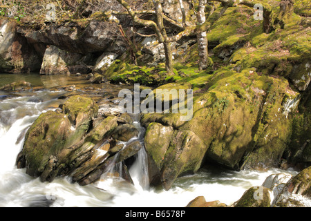 Wasserfälle auf dem Fluss Marteg Gilfach Farm Nature Reserve, Radnorshire Wildlife Trust Reserve in der Nähe von Rhayader, Powys, Wales. Stockfoto