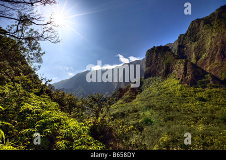 IAO Nadel an der Kepaniwai County Park Iao Valley Maui Hawaii USA Stockfoto