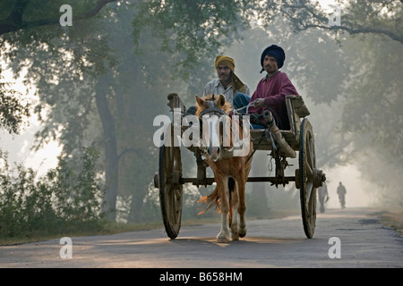 Lucknow, Uttar Pradesh, Indien, Landschaft in der Nähe von Rae Bareli, morgen Strassenszene. Ochsenkarren. Stockfoto