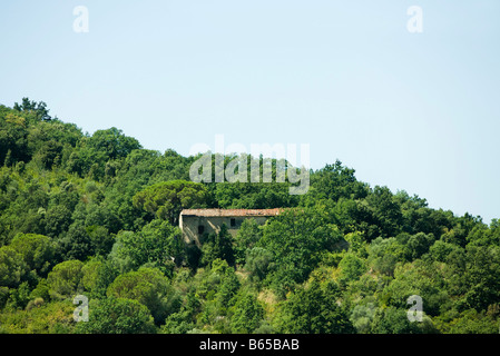 Haus in bewaldete Landschaft versteckt Stockfoto