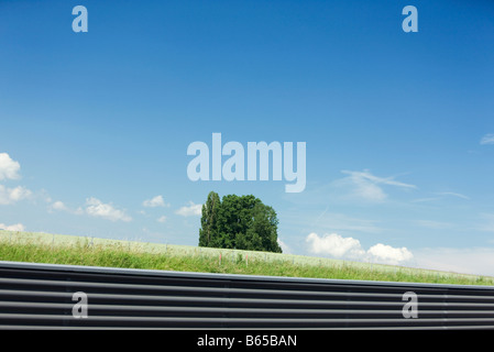 Baum auf Hügel hinter Geländer, niedrigen Winkel Ansicht Stockfoto