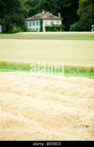 Großer Bauernhof in der Ferne, Felder im Vordergrund Stockfoto