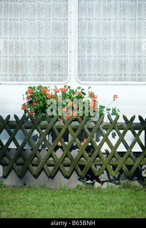 Geranien im Blumenkasten außerhalb Mobilheim Stockfoto