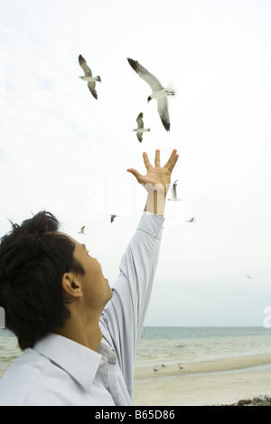 Mann am Strand, Arm erhoben, in Richtung Vögel im Flug zu erreichen Stockfoto