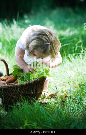 Kleines Mädchen untersuchen Salat in Korb mit Gemüse Stockfoto