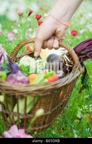 Hand, die Abholung aus Holz Korb mit frischen Produkten Stockfoto
