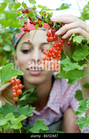 Teenager-Mädchen im roten Johannisbeerstrauch Stockfoto