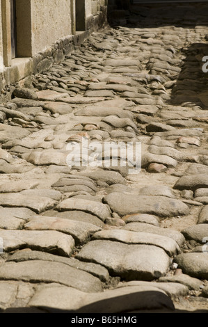 Im Inneren der Kirche Mosteiro de Tibães in Braga, Portugal Stockfoto