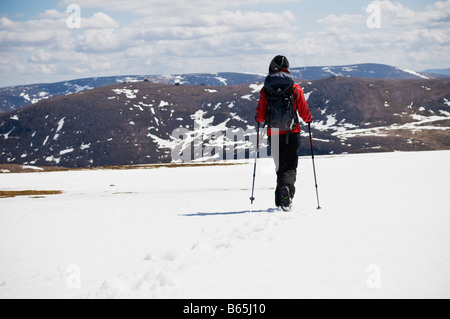 Weibliche Wanderer Wanderungen über Schnee nahe Gipfel des Cairn man im Cairngorms, Schottland Stockfoto