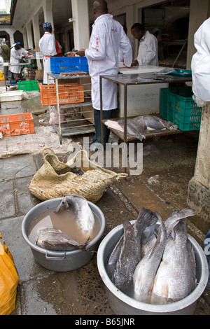 Stadt Markt Nairobi Kenia Afrika Stockfoto