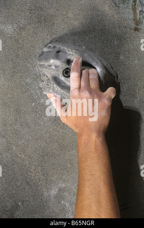 Detail von Hand auf die Wand Klettern Griff Stockfoto