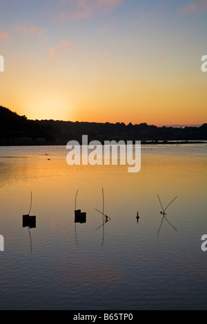 Muschelzucht unterstützt in der Lagune Etang Leucate, Languedoc Roussillon, Frankreich Stockfoto