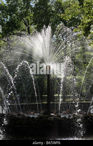 Die Sun-Brunnen, Peterhof, St Petersburg, Russland Stockfoto