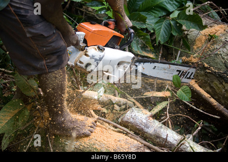 East New Britain Insel, Papua-Neu-Guinea, Montag, 22. September 2008 anmelden. Stockfoto